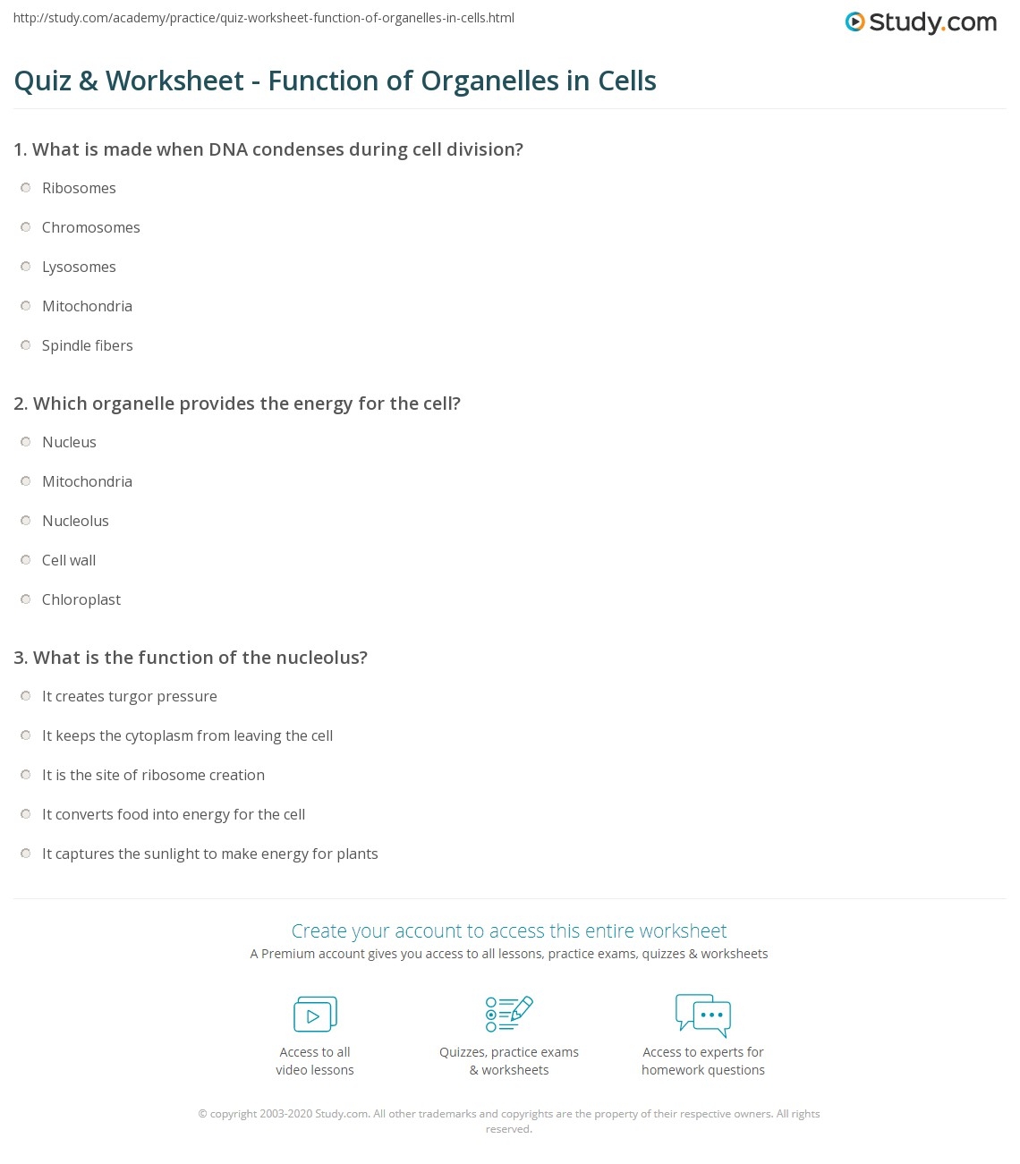 Quiz Worksheet Function Of Organelles In Cells Study Quiz Worksheet Function Of Organelles In Cells Study