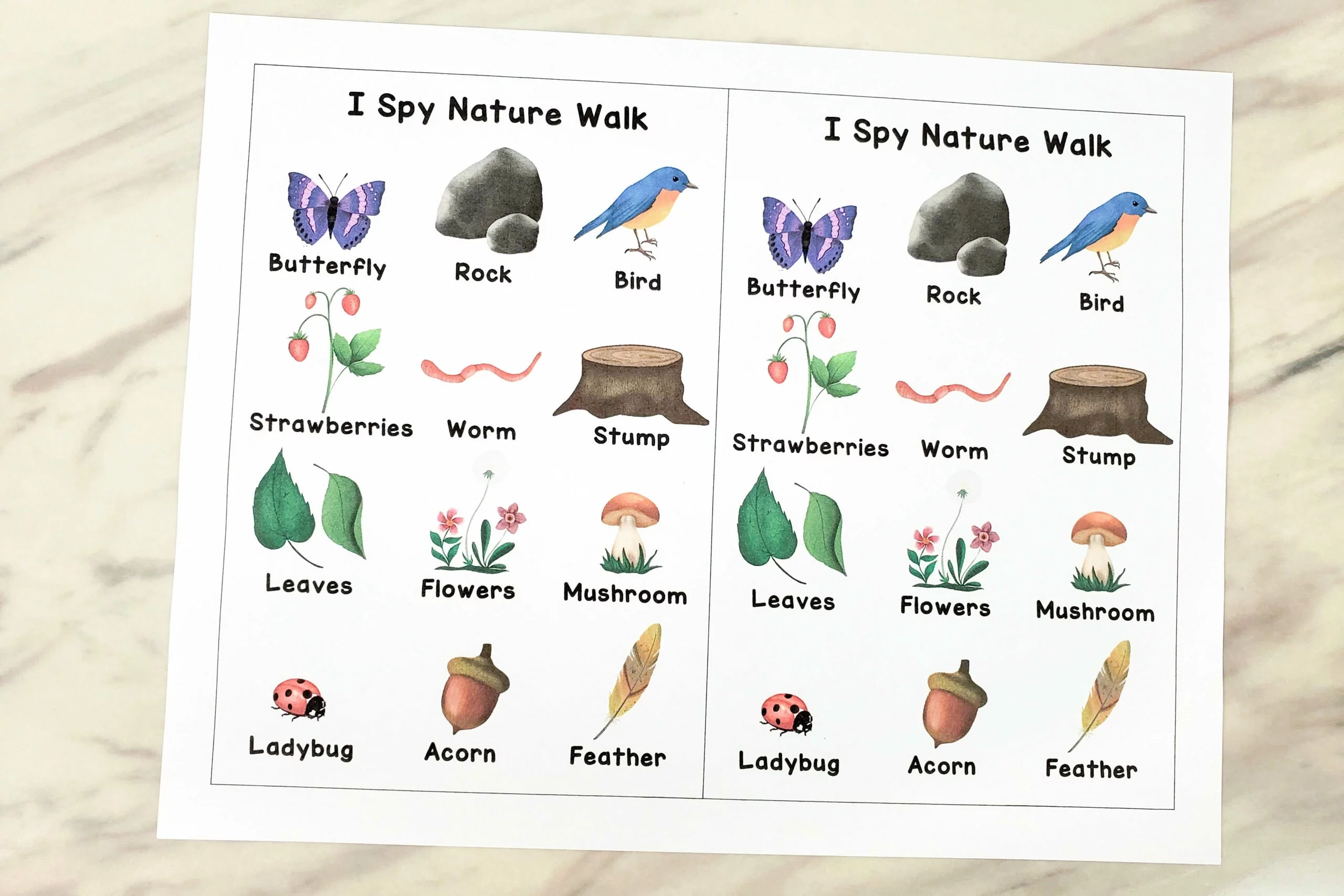 Printable I Spy Nature Check List Printable I Spy Nature Check List