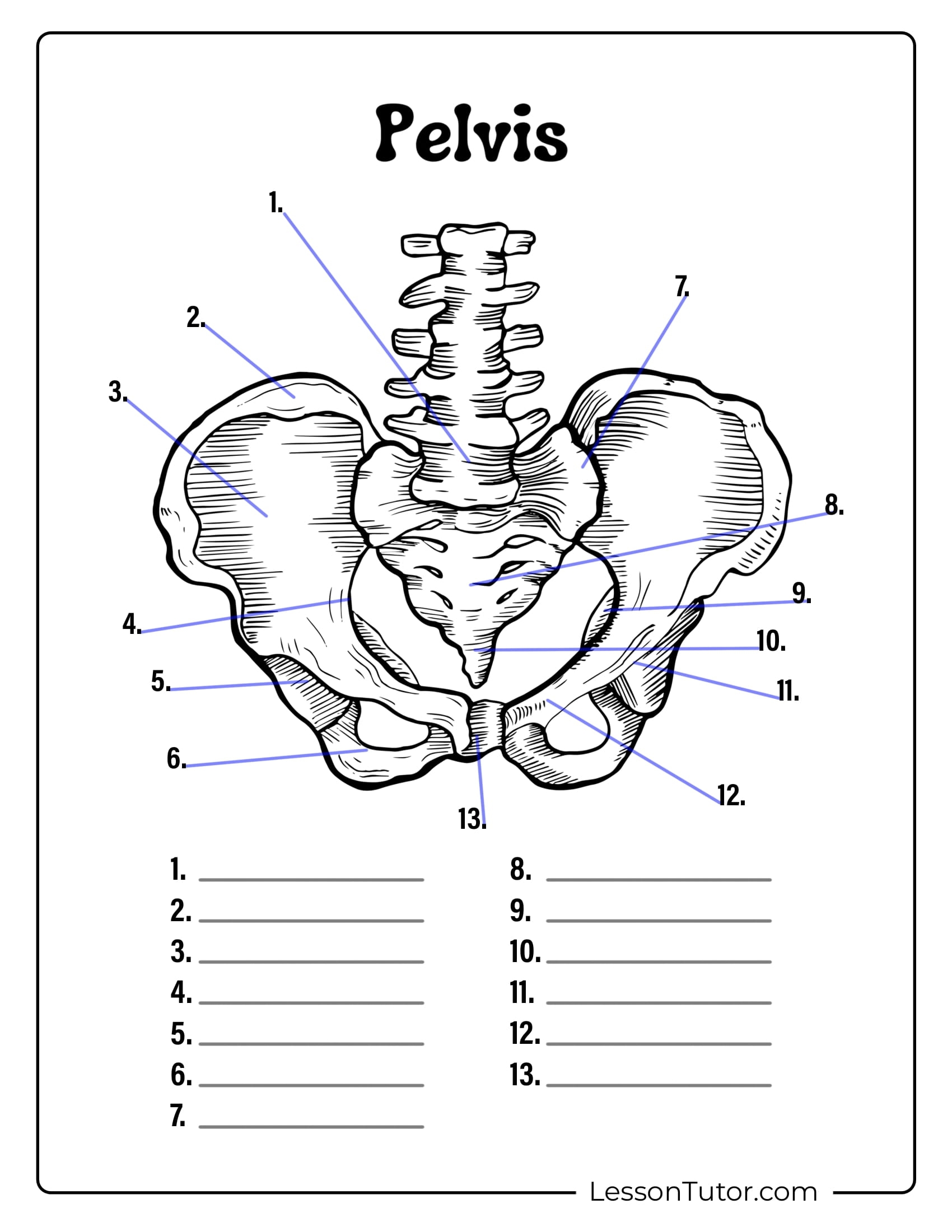 Printable Human Bone Diagram Quiz