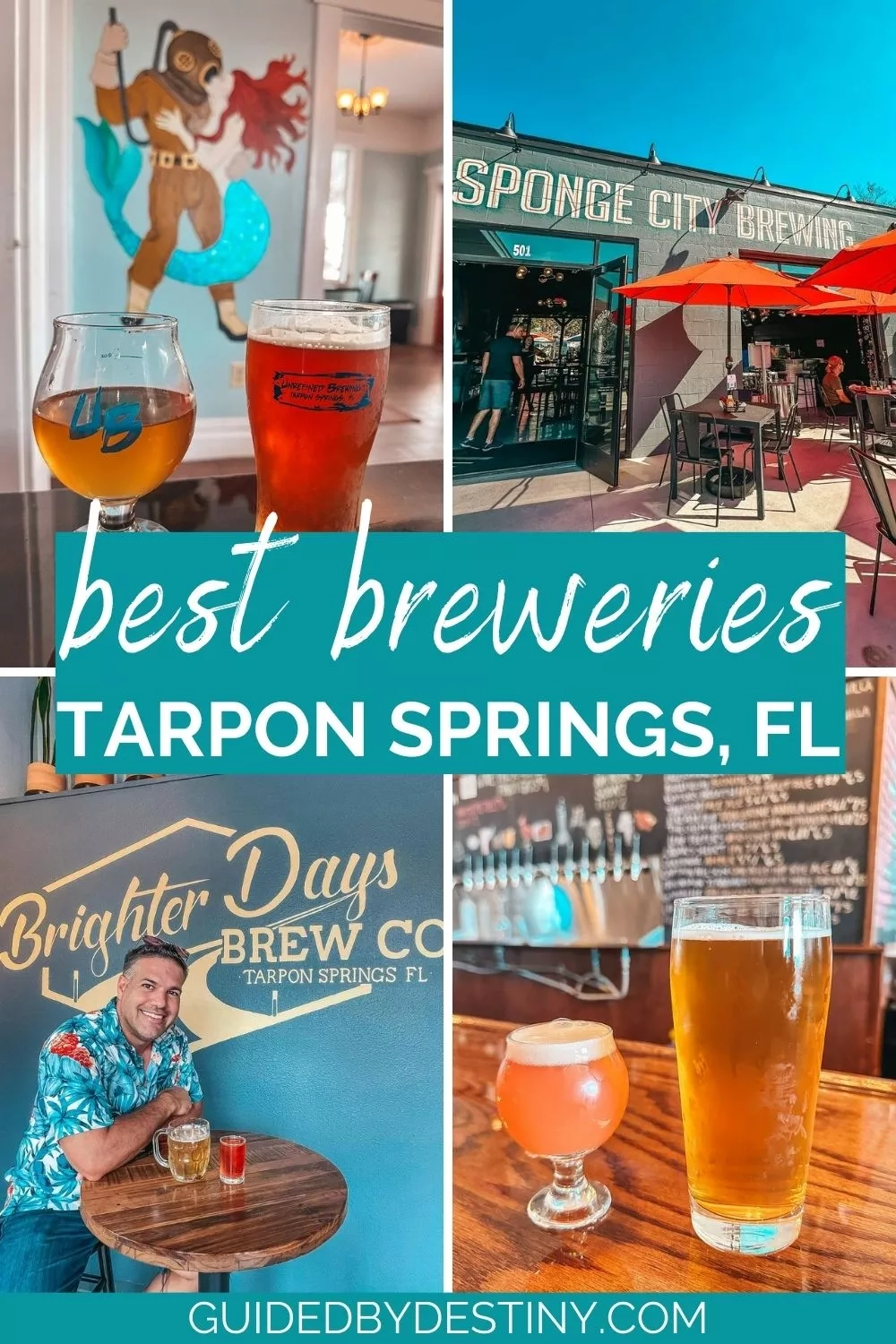 The 6 Best Breweries In Tarpon Springs Florida