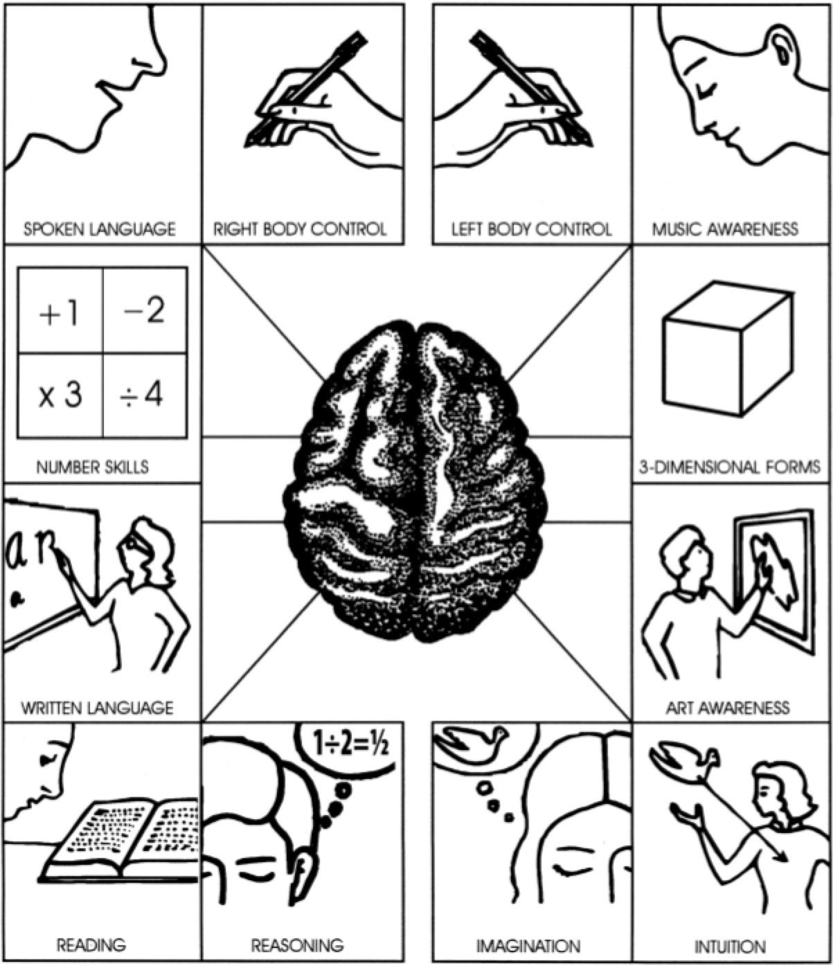 The Character Therapist T3 Is Your Character Left Brained Or Right Brained 