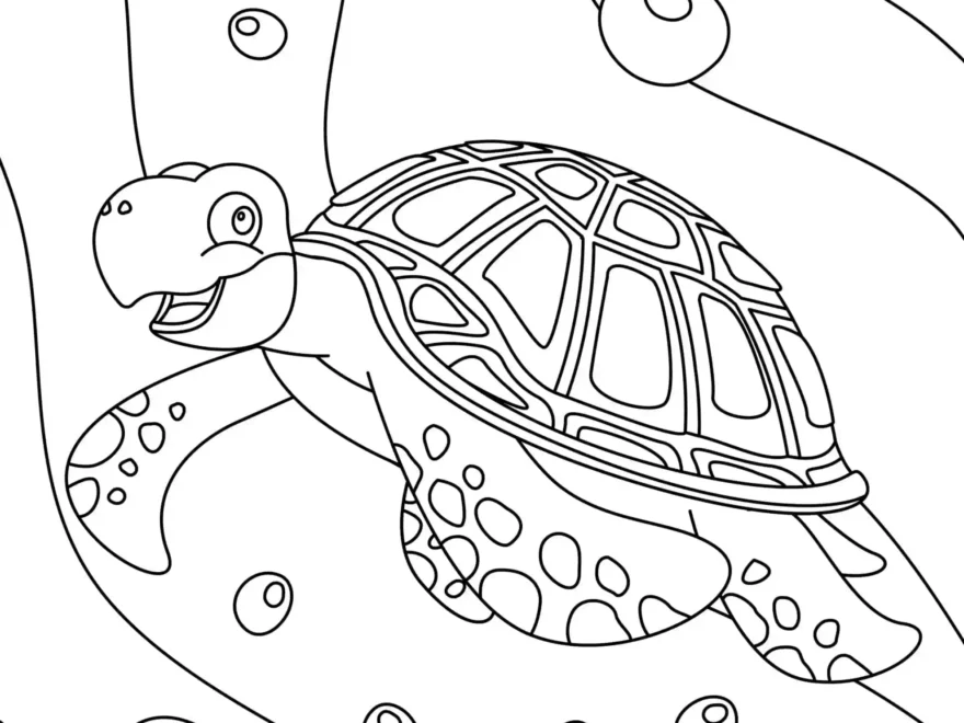 Turtle Coloring Pages Free Printable Sheets For Kids Skip To My Lou