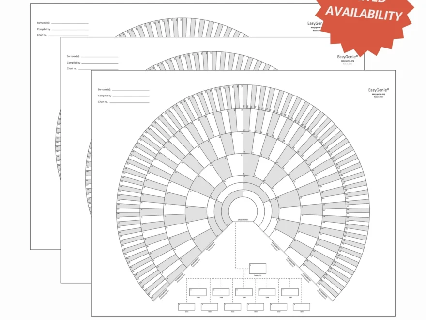 Unfolded 9 generation Fan Charts 3 Pack EasyGenie