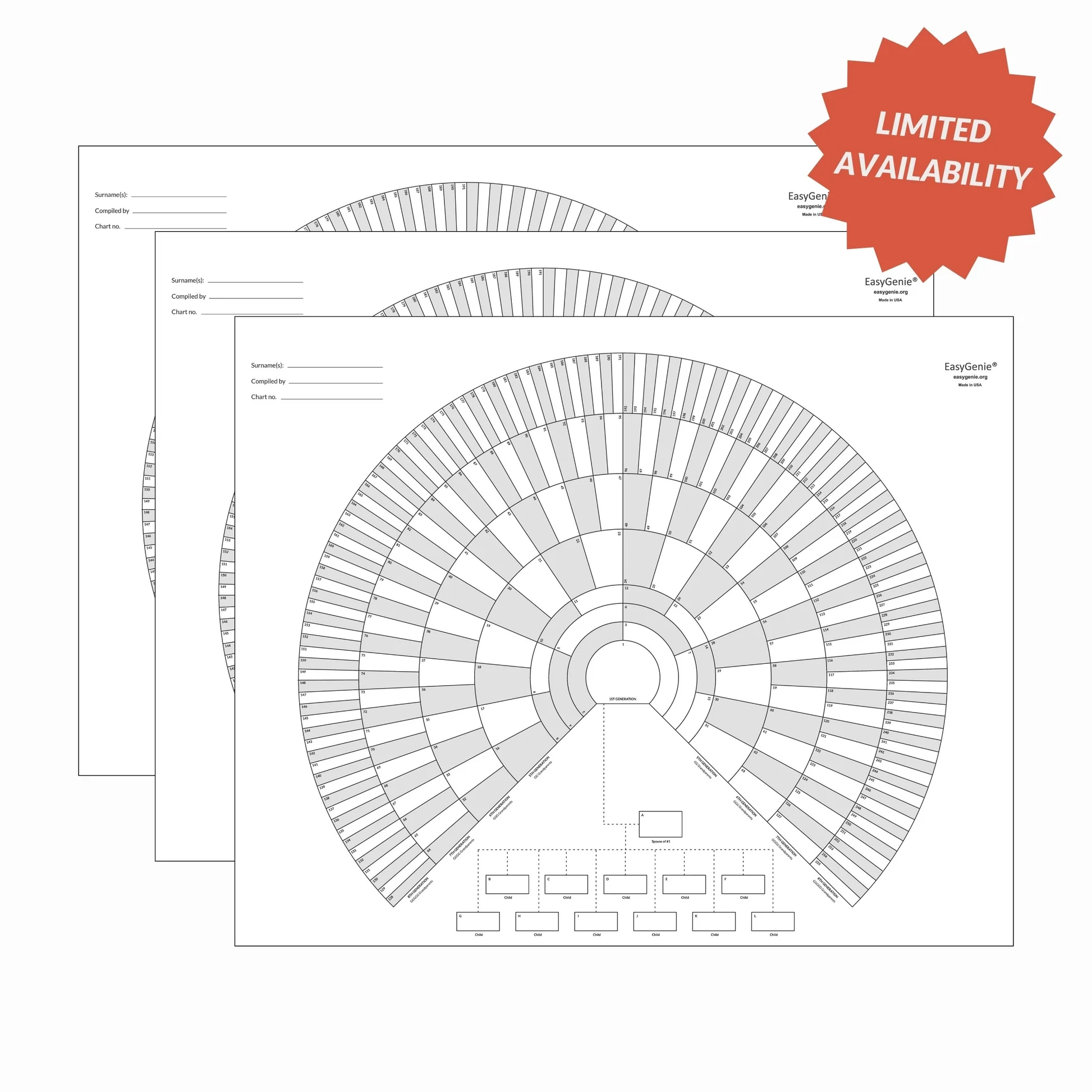 Unfolded 9 generation Fan Charts 3 Pack EasyGenie
