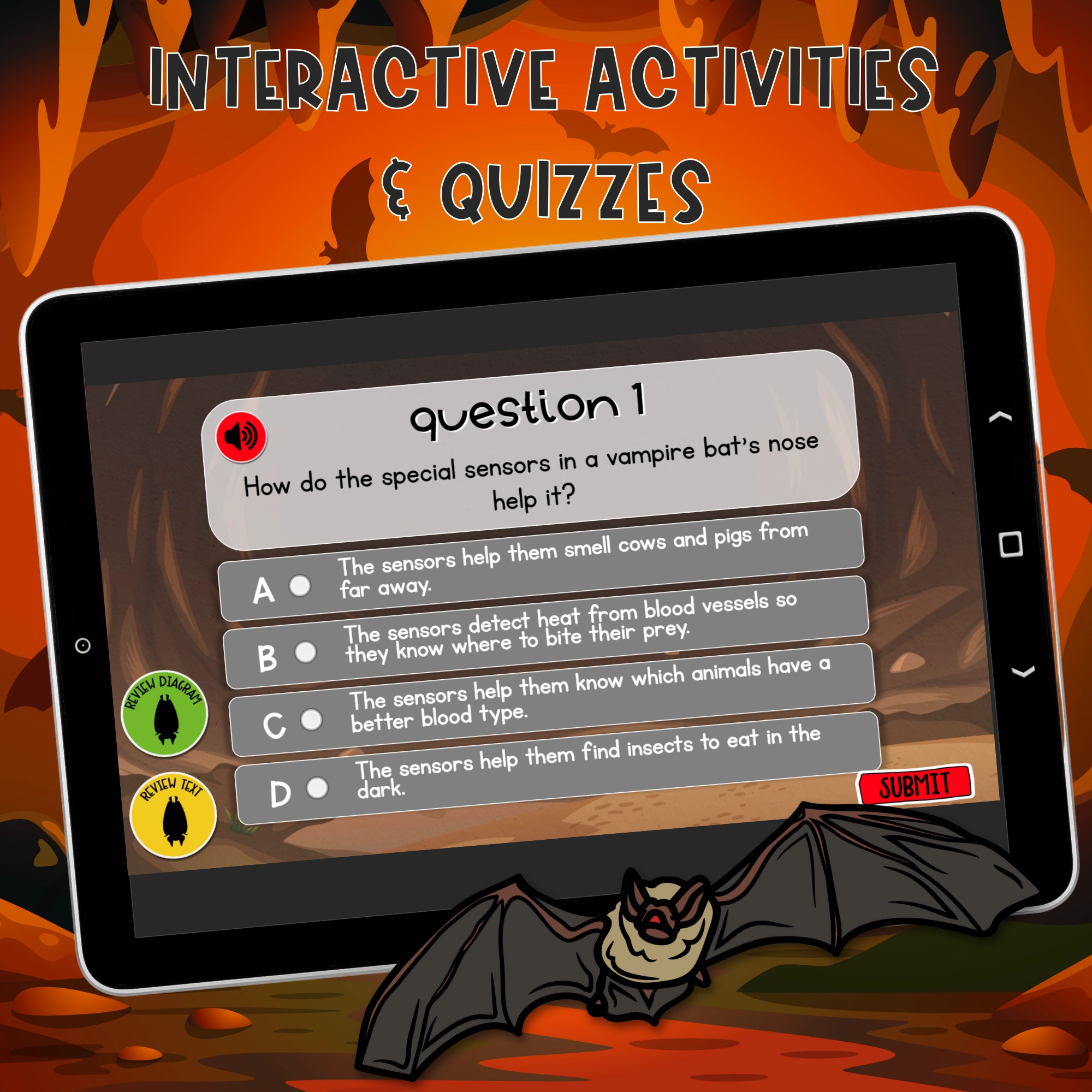 Free Quiz About Bats Printable