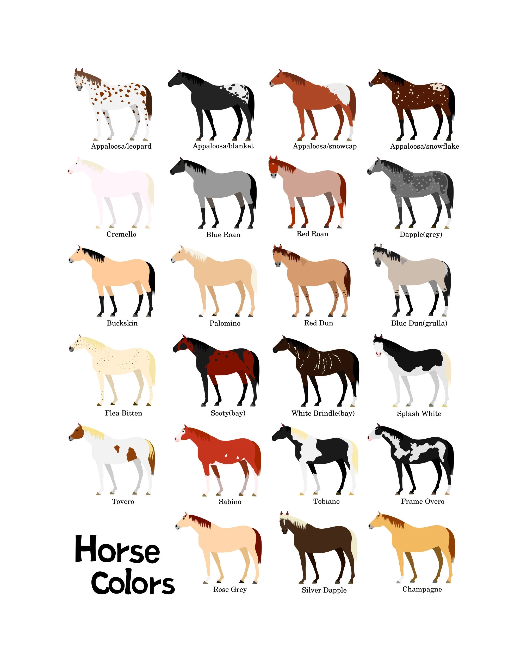 Printable Horse Color Chart